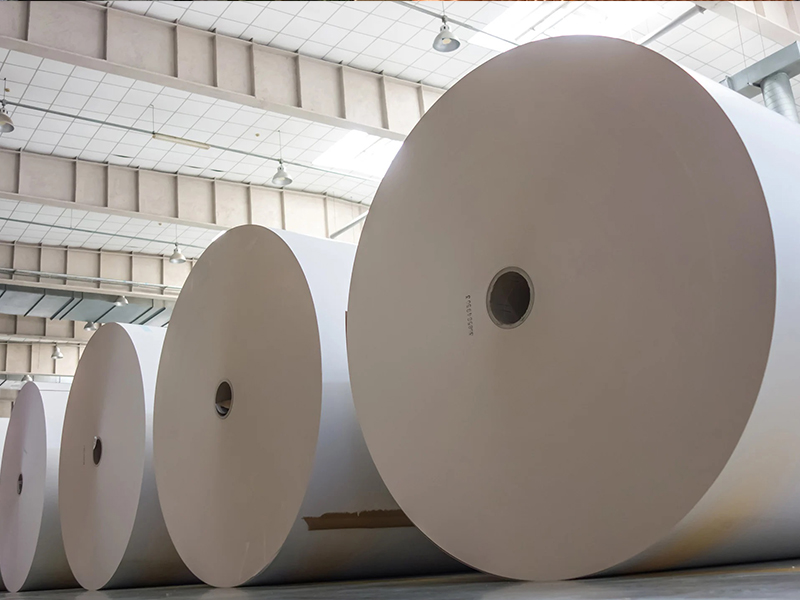 paper industry